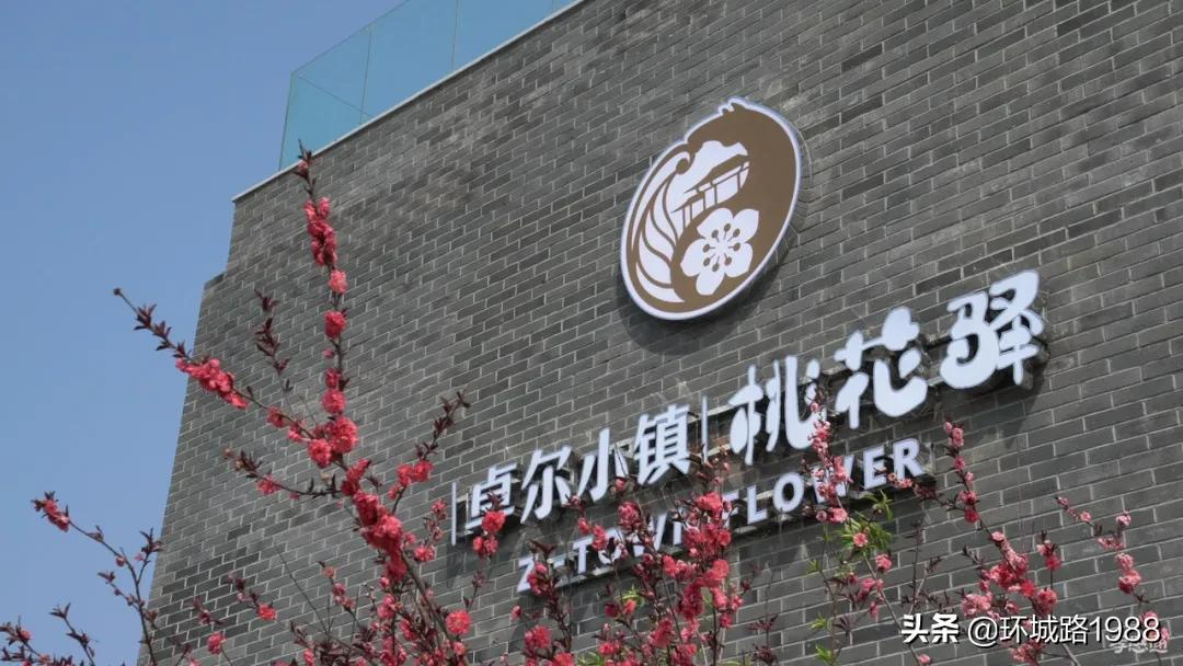 这里是,杨店