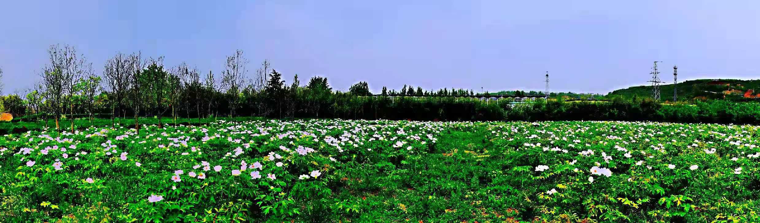 �ԷǷ��¾�ƽ������δ��Ϊ����ʦ������3000Ķ��ѧ���Ͷ���������