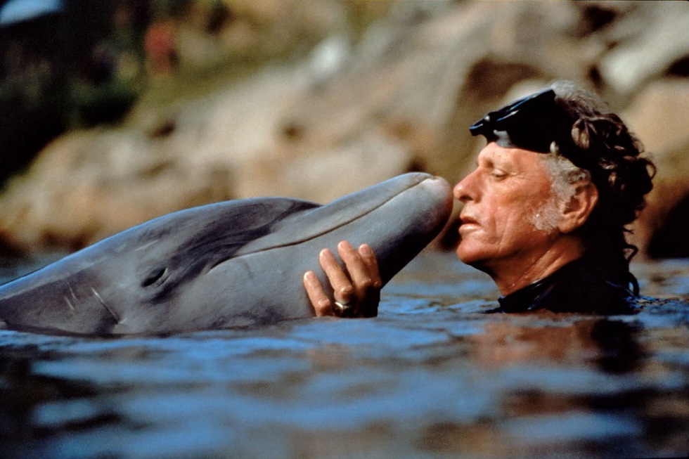 A dolphin swam into human arms and sank to the bottom of the water and