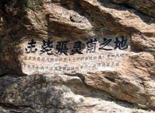 张灵甫想吃饺子，妻子立马跑到地里割韭菜，他却在背后举起了枪