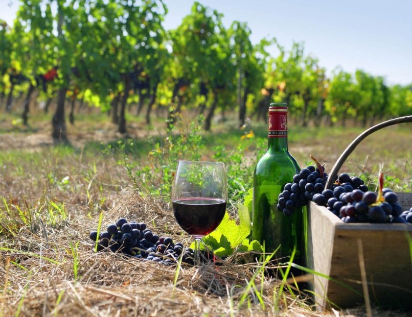 亚美尼亚：世界葡萄酒故乡的精彩体验