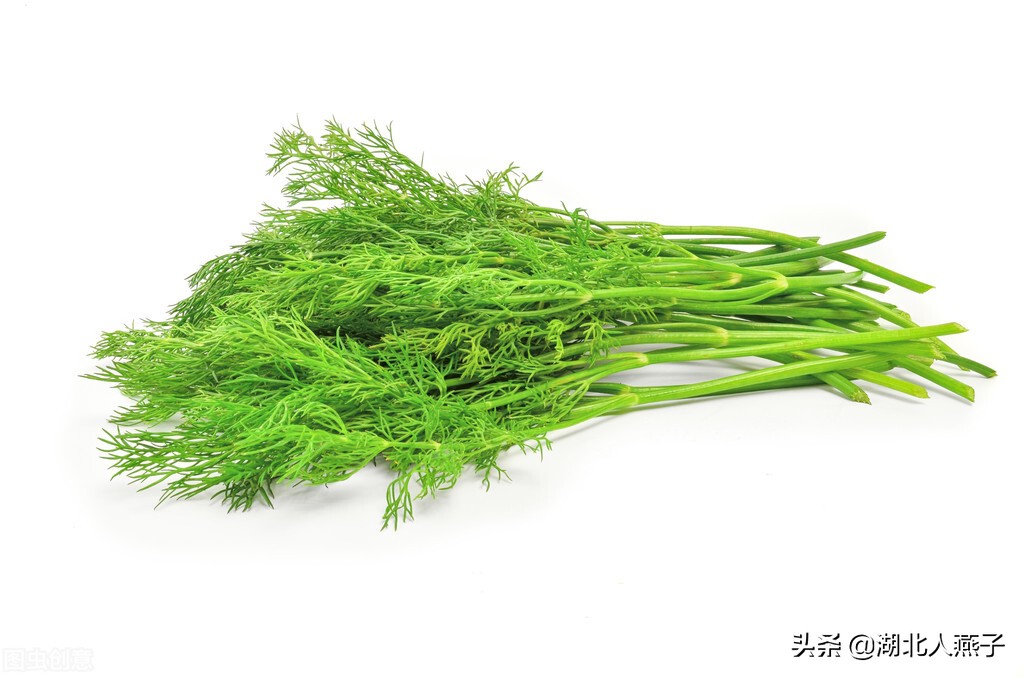 春天挖野菜，送你70种野菜图片大全，教你认识不同的野菜和吃法