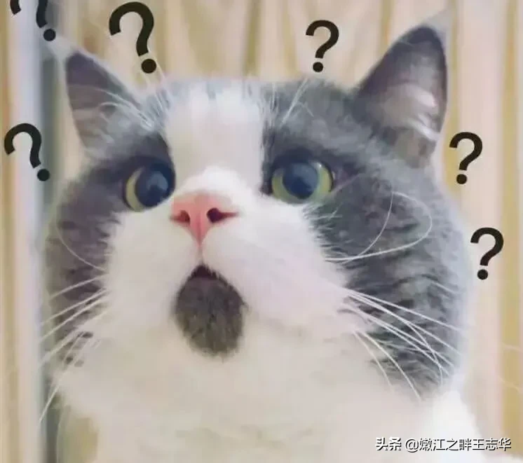 冒充客服退款+冒充公检法连环诈骗，层出不穷，