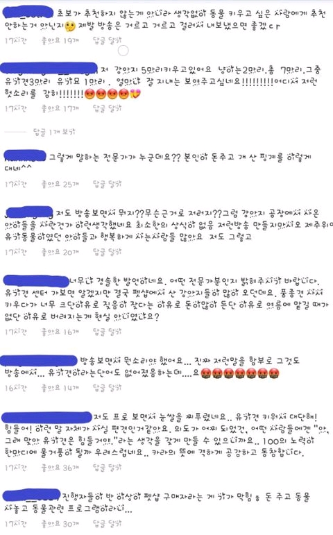 金希澈發言被遺棄動物協會批評：這樣做是把流浪狗趕到死角地帶