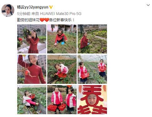 楊威老婆帶仨孩子採摘，樂樂變大力士拎兩筐草莓，高姐姐歡歡半頭