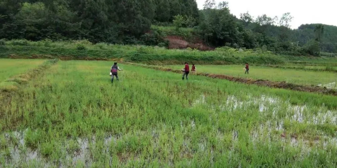 永泰镇一周工作动态及群众近期需关注事项