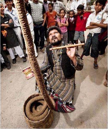 “通天术”，一根绳子能上天，且无人解答其中