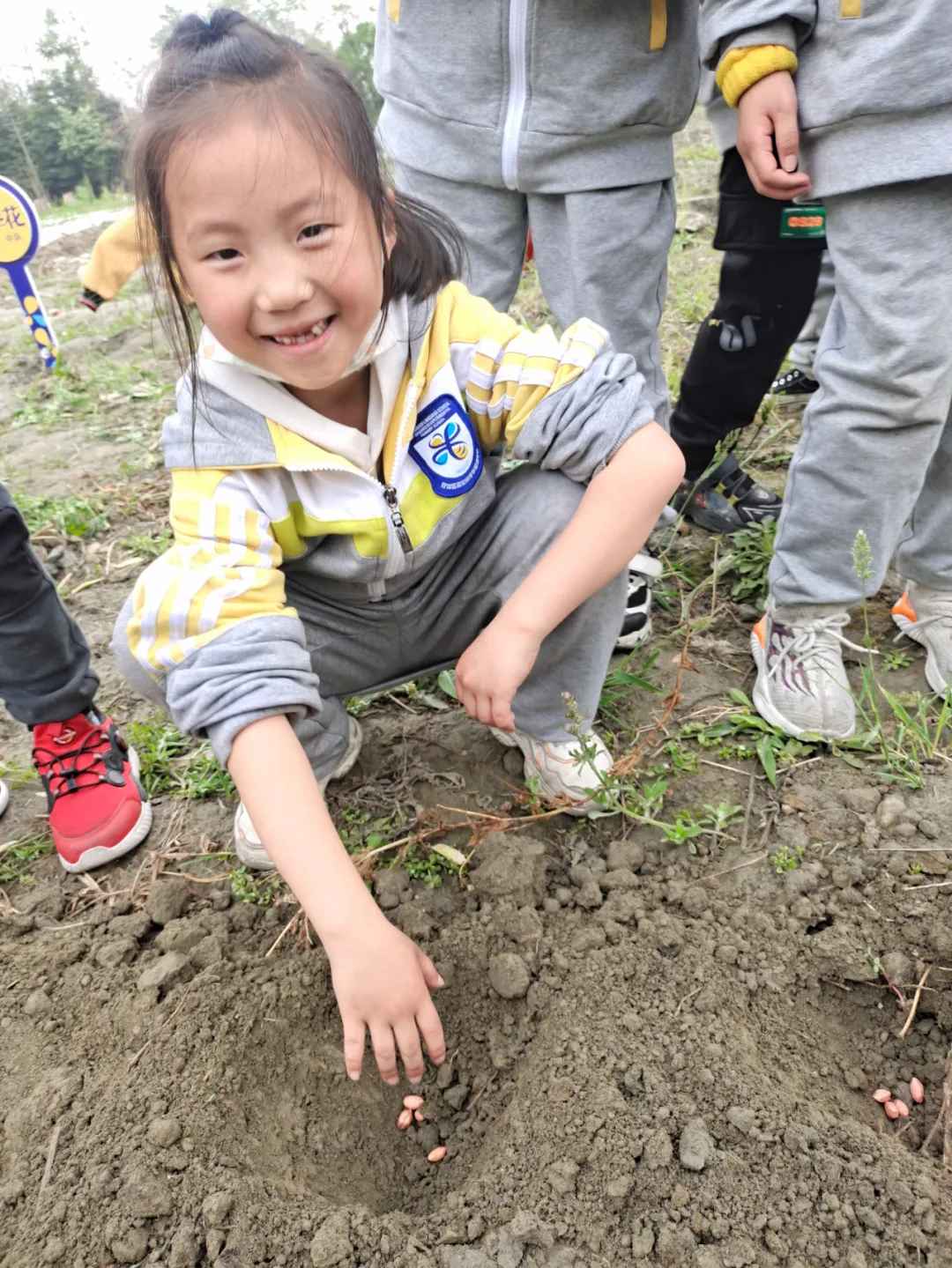 双流区实验小学外国语学校丨最美人间四月天 幸福农场齐生长