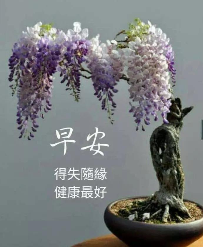 早安祝福语 暖人心扉的早安问候表情动态图片大全