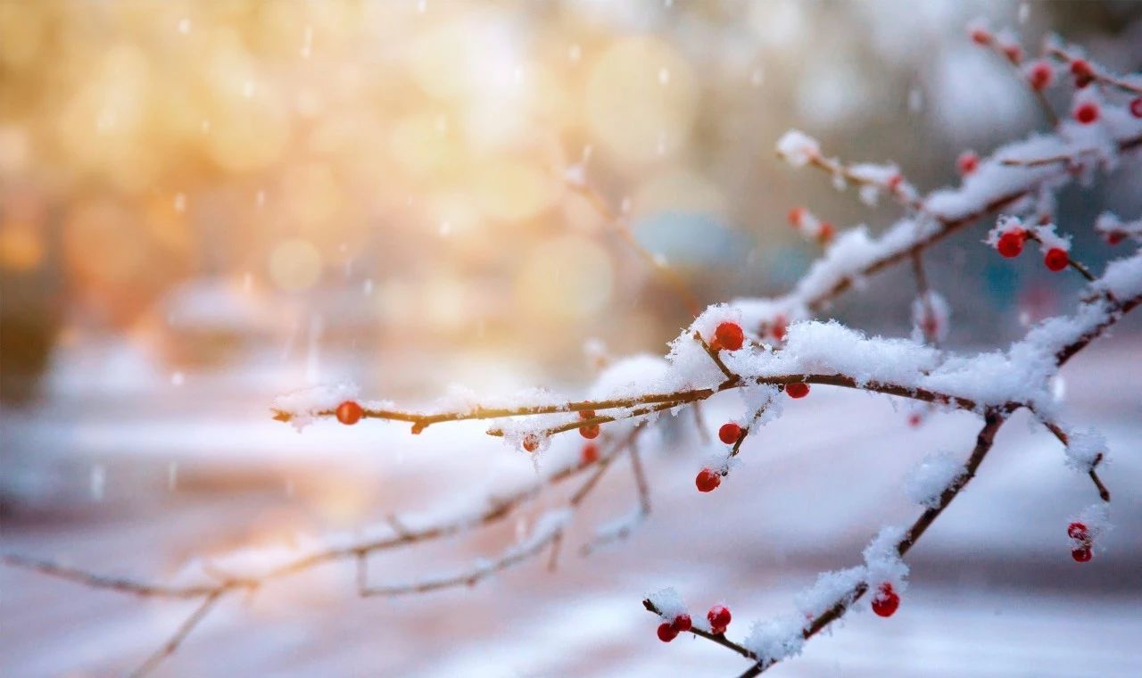 八首冬日雪诗，读完心中暖暖的-第3张图片-诗句网