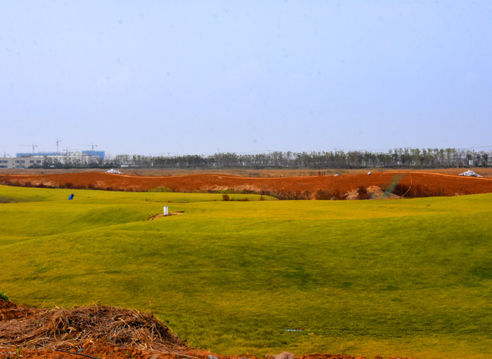 江苏旅游：探秘启东长江入海口（图）