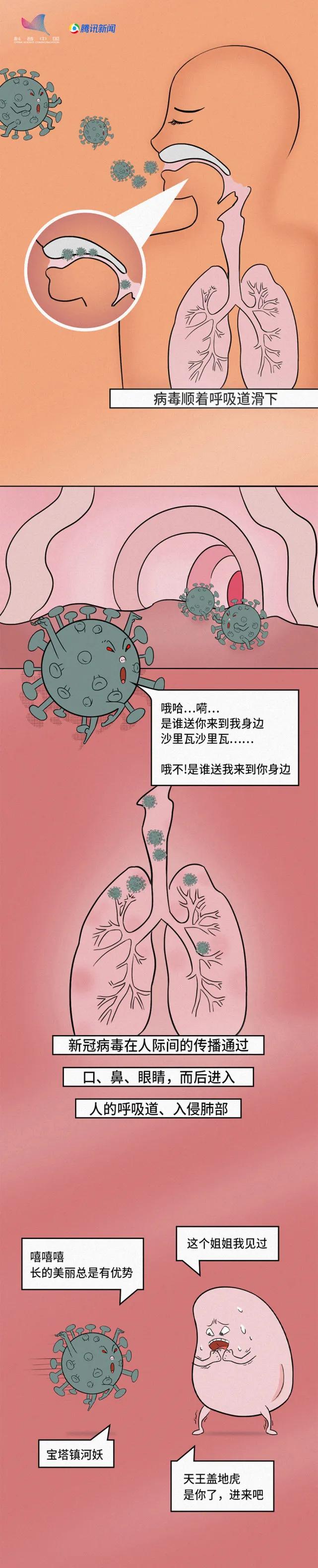 新冠大作战丨漫画图解新冠病毒到底是一种怎样的生物67