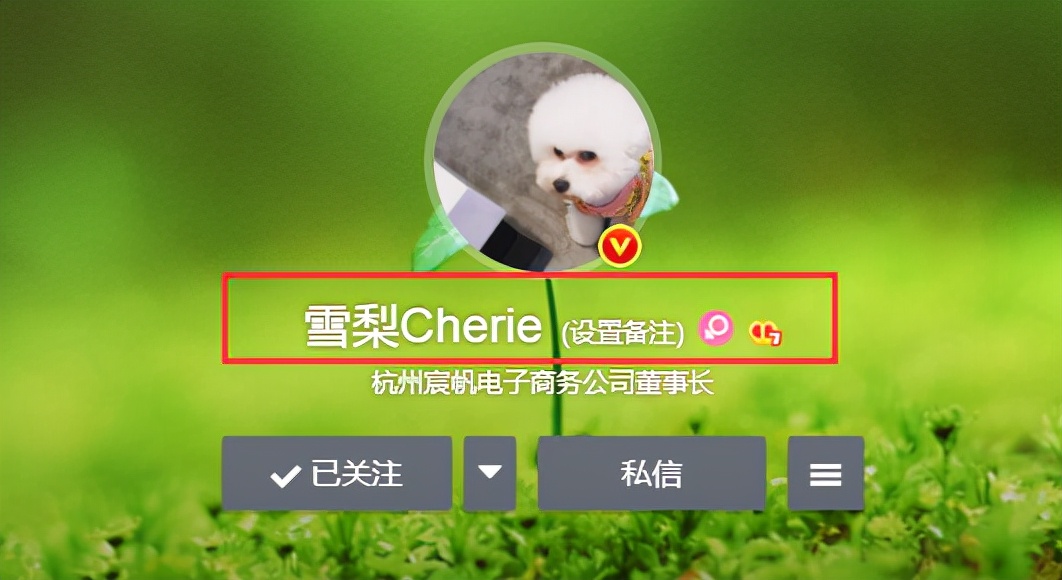 天价运费惹争议，王思聪前女友雪梨被集体投诉，无奈道歉全额退款