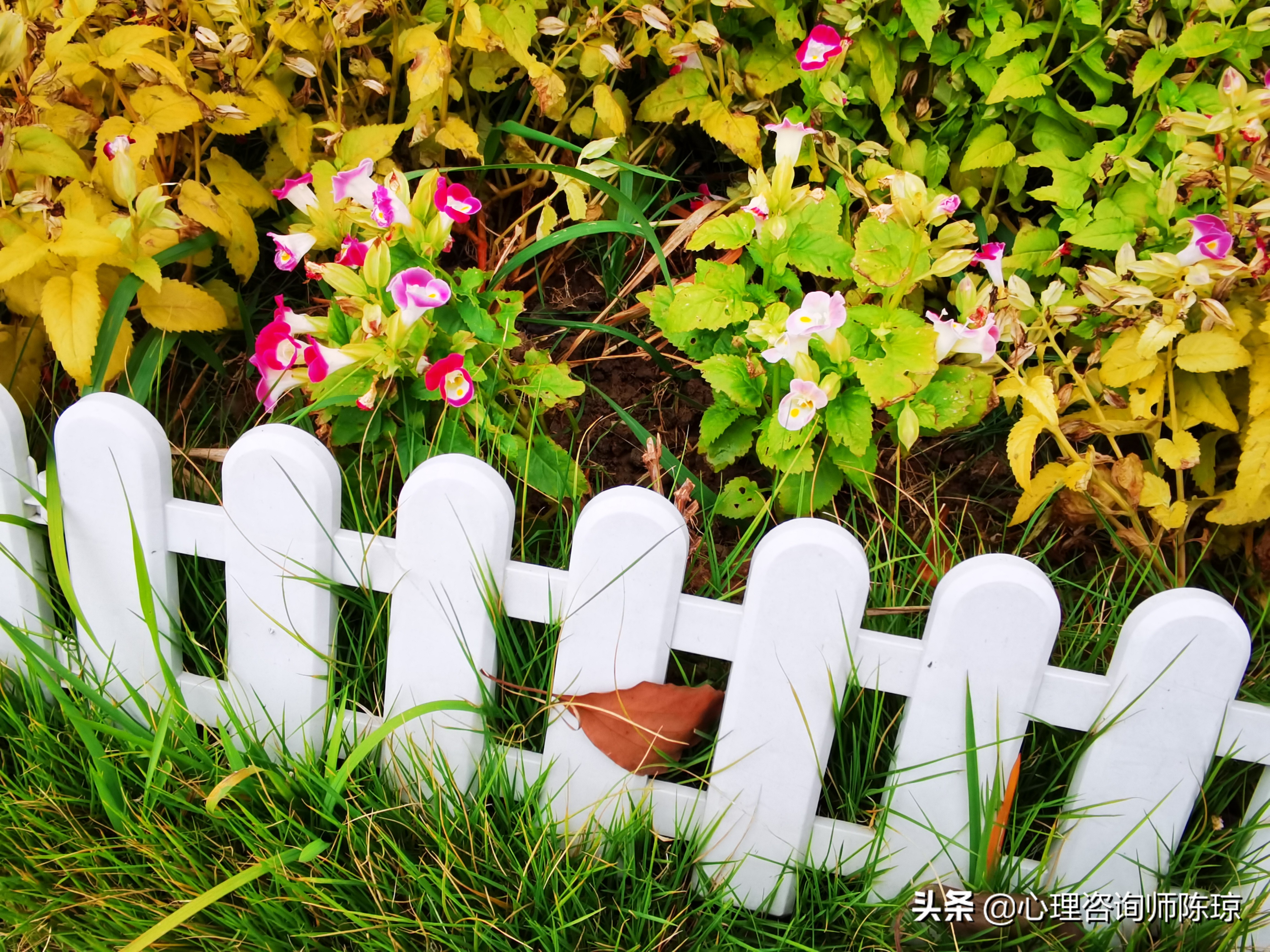 10种方法，帮助你有效化解焦虑情绪