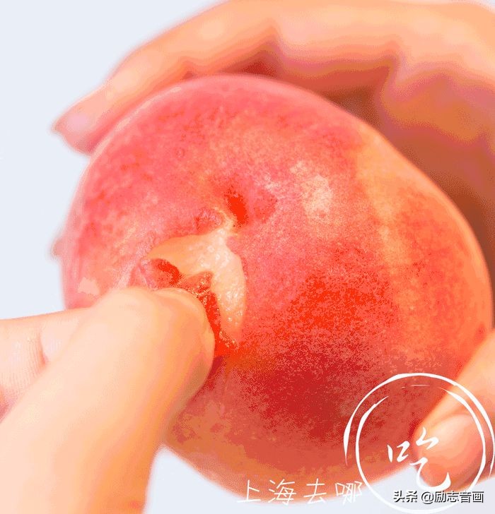 100个好用的生活小妙招，太实用了-第14张图片-农百科