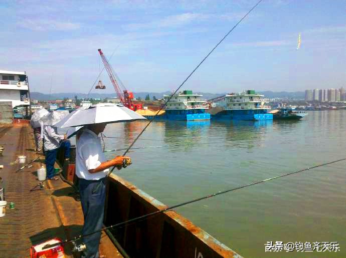 长江禁用渔具名录来了，四种钓具不能再用！钓鱼人该注意什么