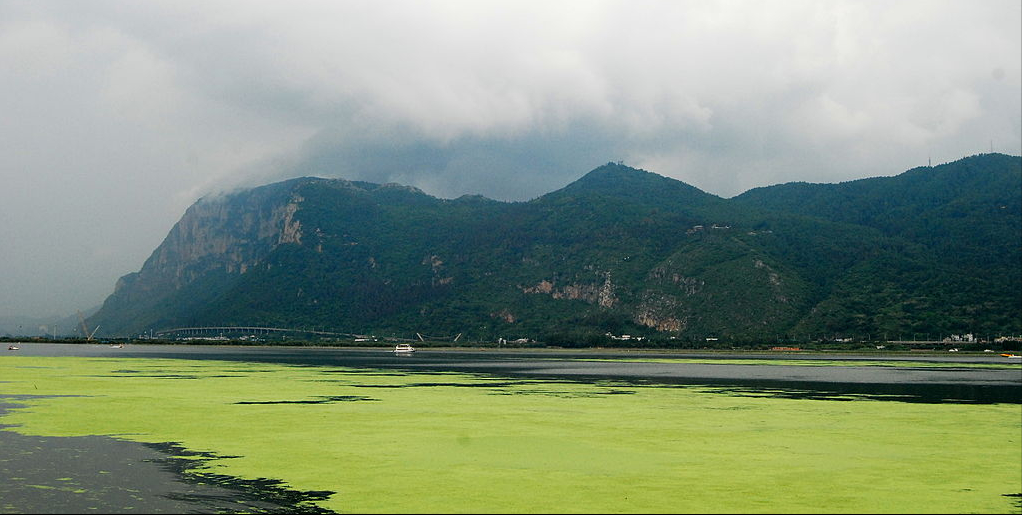 滇池的危機(jī)：30年水質(zhì)惡化，一度淪為“臭水湖”？