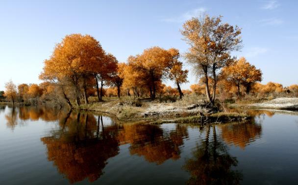 下班后的生活，往往决定了你是否能够“咸鱼翻身”