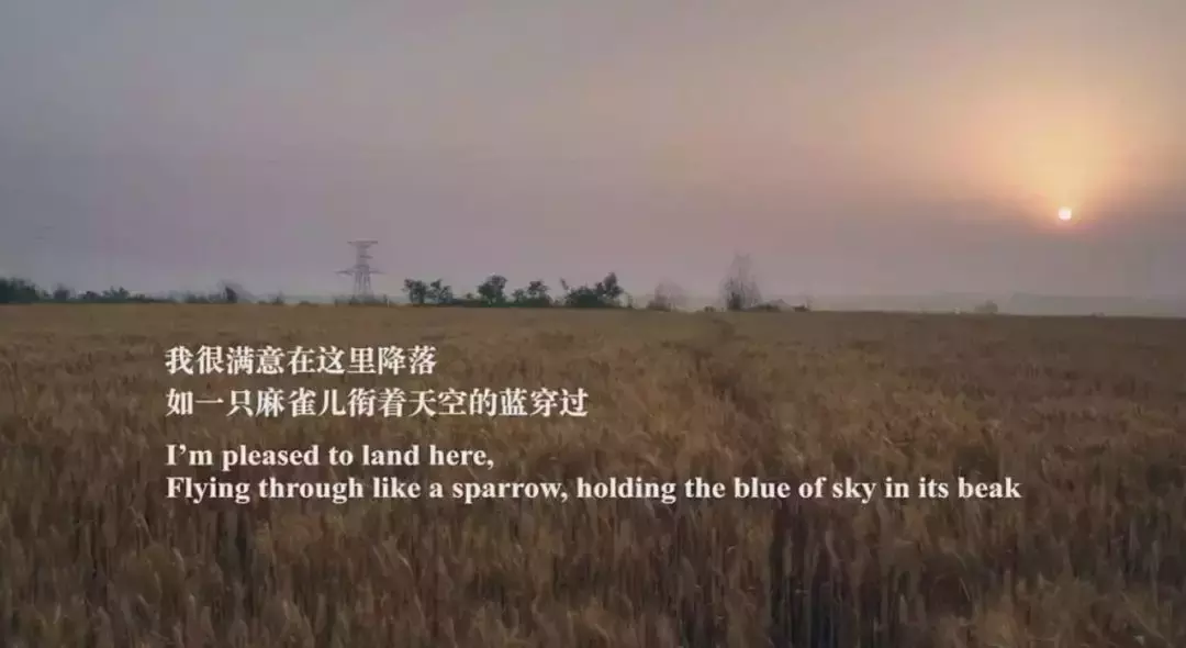 穿过大半个中国去睡你,脑瘫女诗人的逆袭人生