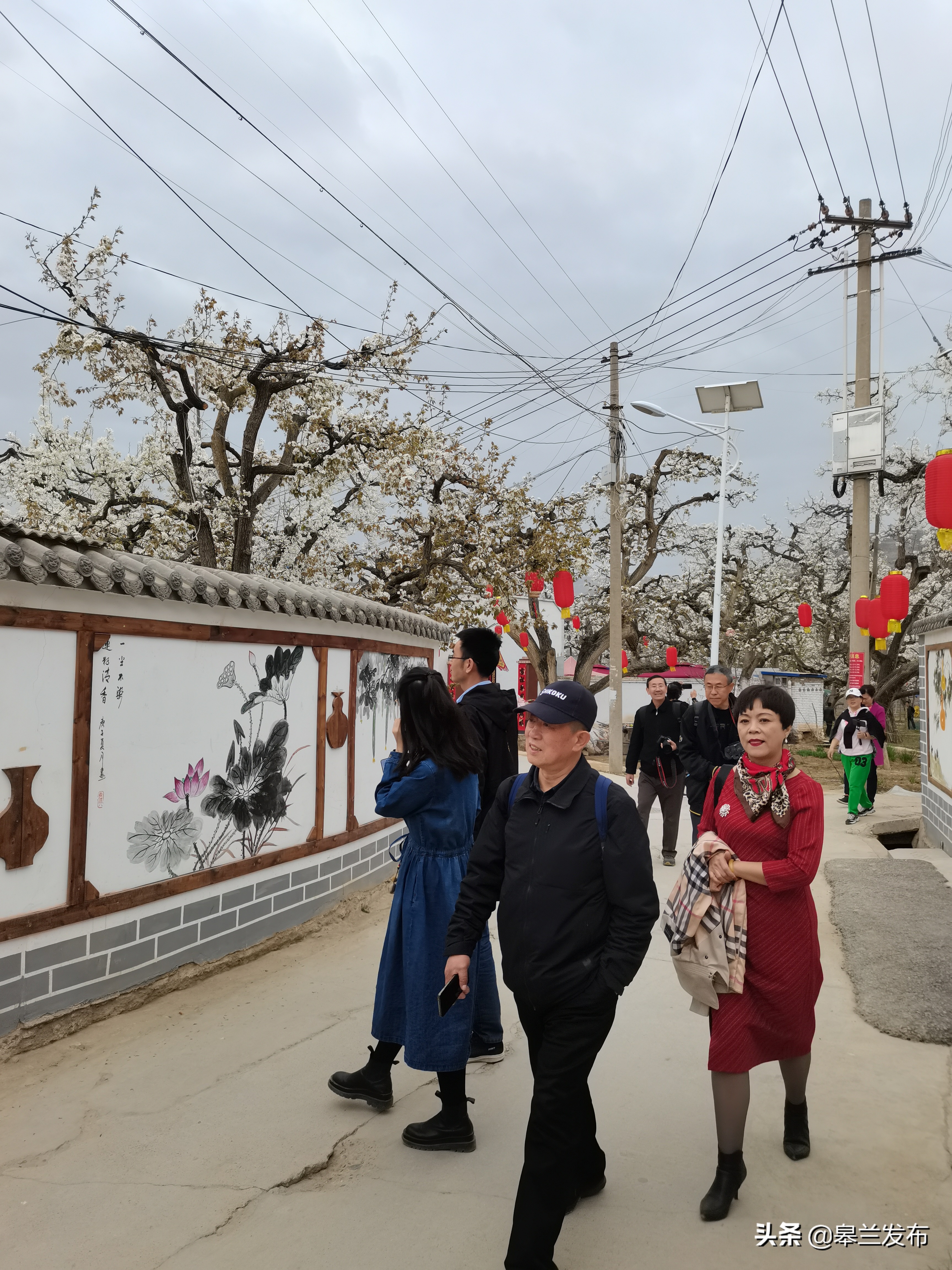 ����ʲ������԰������������