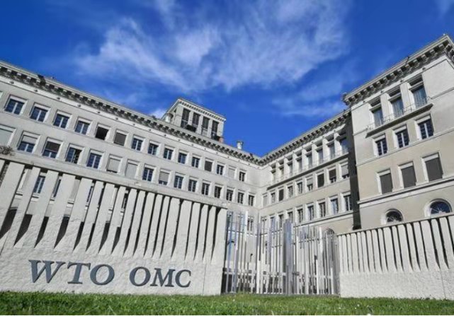 柿子撿軟的捏？ 歐盟不敢開罪於美國，將WTO面臨危機甩鍋給中國