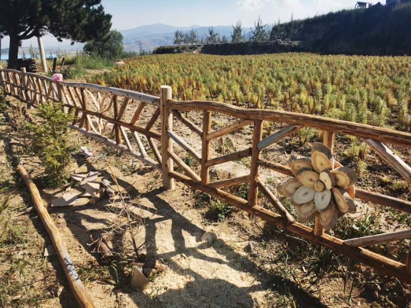 西固区金沟乡：改善人居环境 扮靓乡村“颜值”