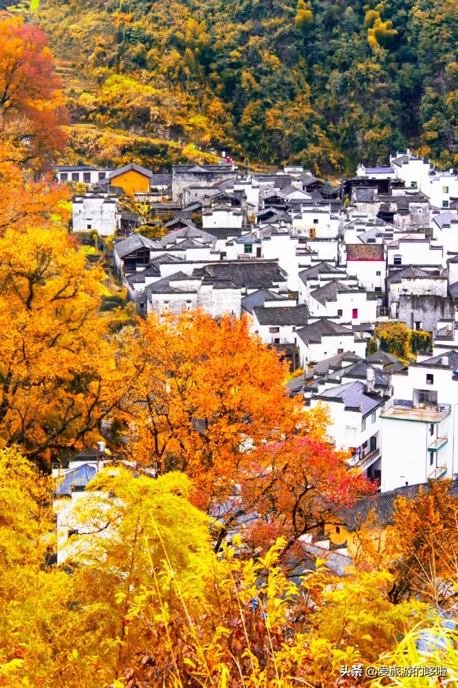 The best place to travel in October-November, the late autumn tour bus is about to depart