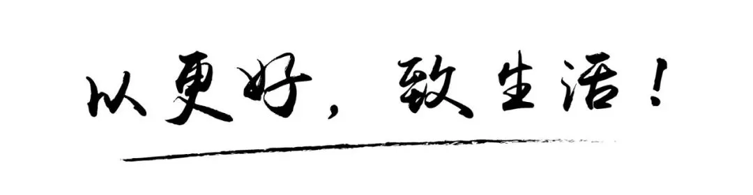 德国汉莎露西娜整装定制:用更好的方式定制你的lifestyle