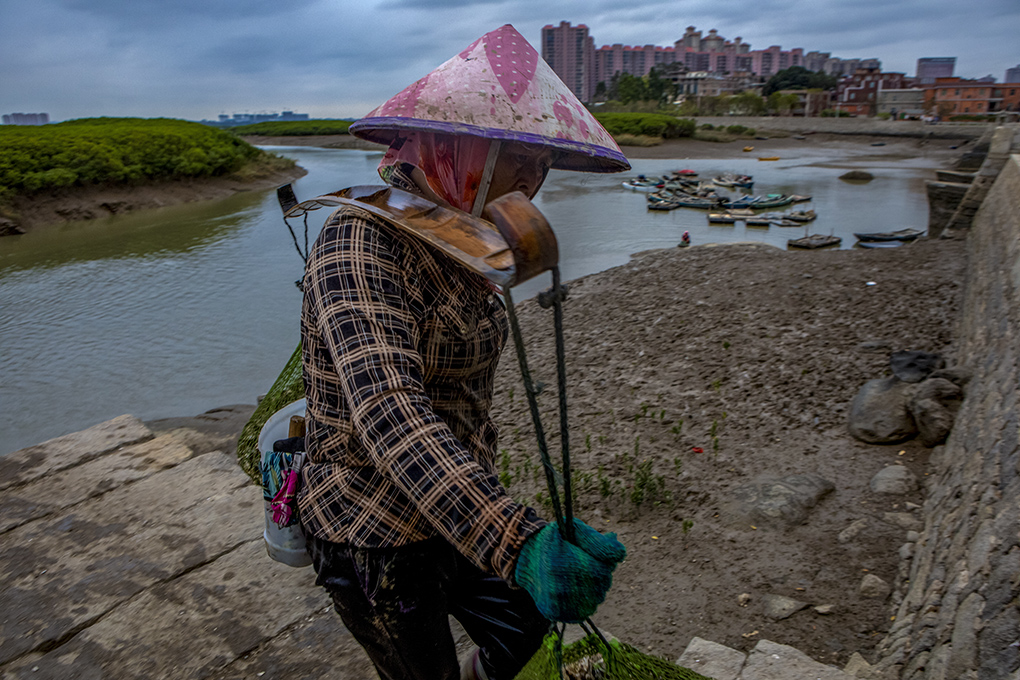 福建泉州的洛阳桥，是中国四大名桥中，唯一免收门票的千年古桥