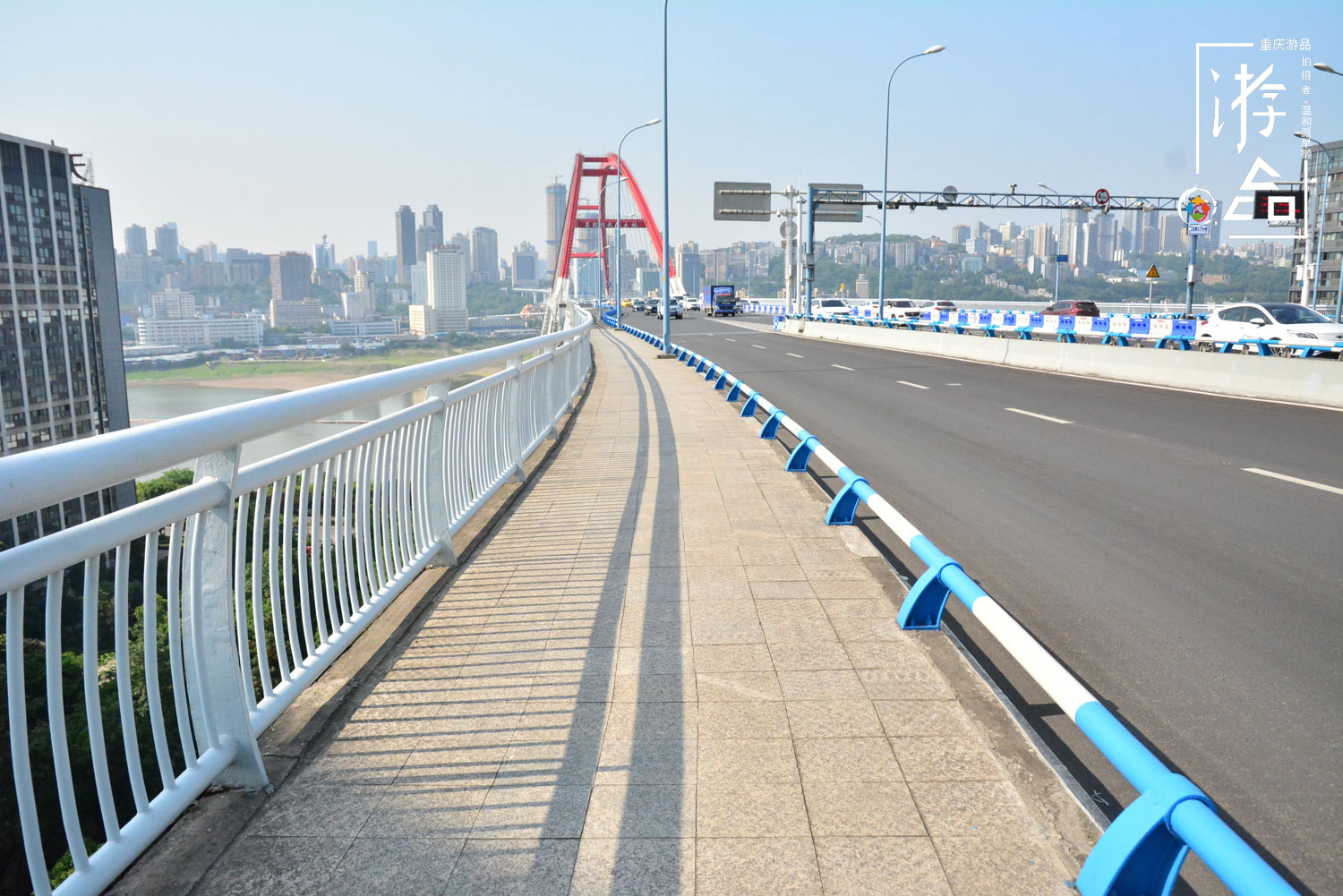 寻找重庆的“龙脊”，妄图从菜园坝大桥抄近路，抵达之前先中暑了