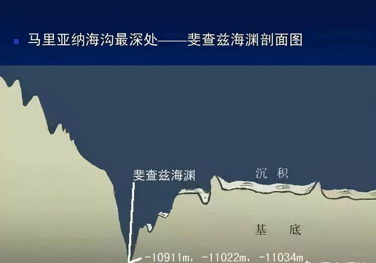 令人激動(dòng)！南極再現(xiàn)不明生物，是否意味著宇宙間普遍存在生命？