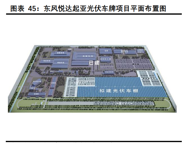 中信博专题报告：跟踪支架龙头，乘光伏大周期东风直上
