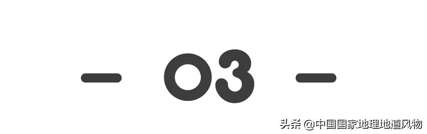 Person of 100 million Shandong, it is the child of the steamed bread