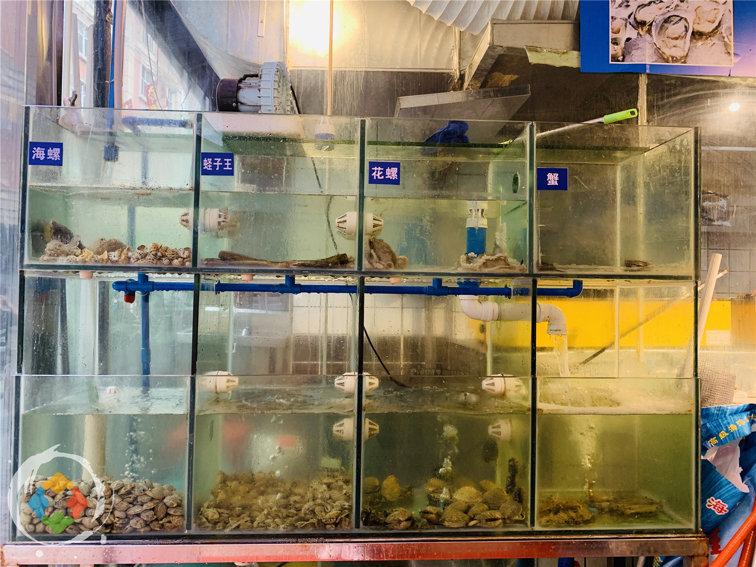 为什么重庆人要在大排档养生？一边吃着小龙虾生蚝，一边喝着热粥