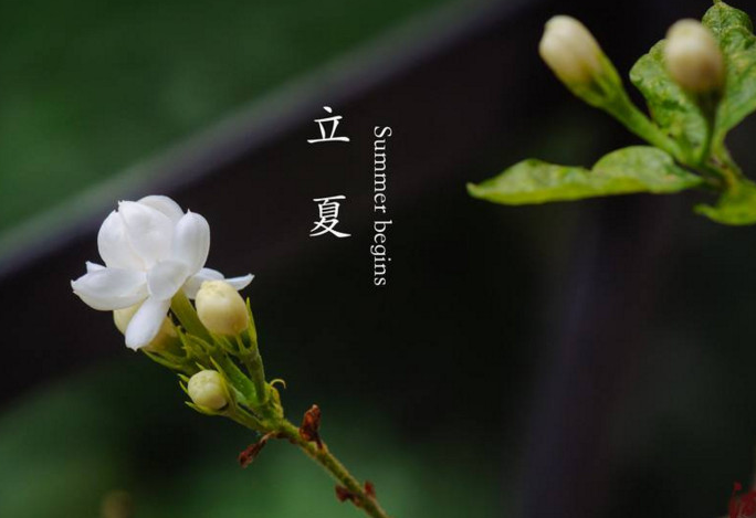 李阳民 | 蛙鼓声声传讯 村村户户欣然（诗词十首）-第5张图片-非凡网