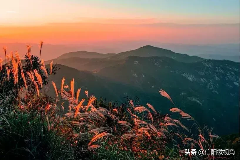 新县属于哪个市(新县在民国的时候叫什么)插图11 北国的江南——新县,我的家(图)