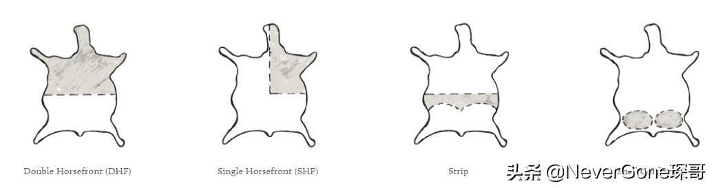 江南皮革厂倒闭了，但这些很难倒：几家始终生产高品质皮革的公司