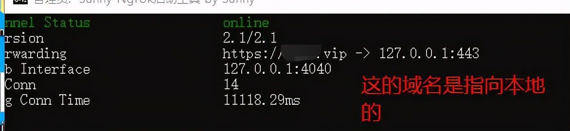 70％Java工程师都需要！如何把本地(内网)项目映射到外网