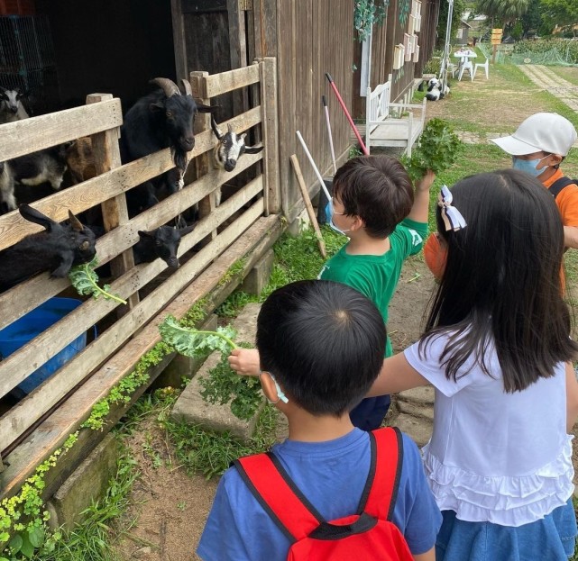 梁咏琪女儿幼儿园毕业，和同学郊游身高优越，弹唱妈妈的歌超治愈
