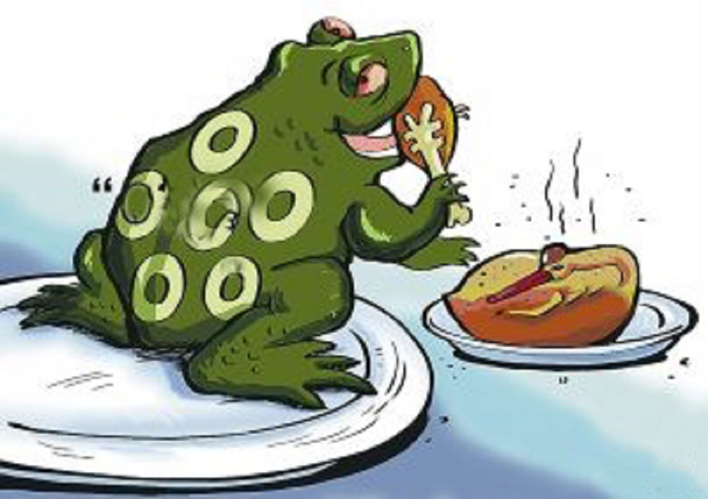 The Historical Story And Origin Of Toad Wants To Eat Swan Meat INEWS the-historical-story-and-origin-of-toad-wants-to-eat-swan-meat-inews