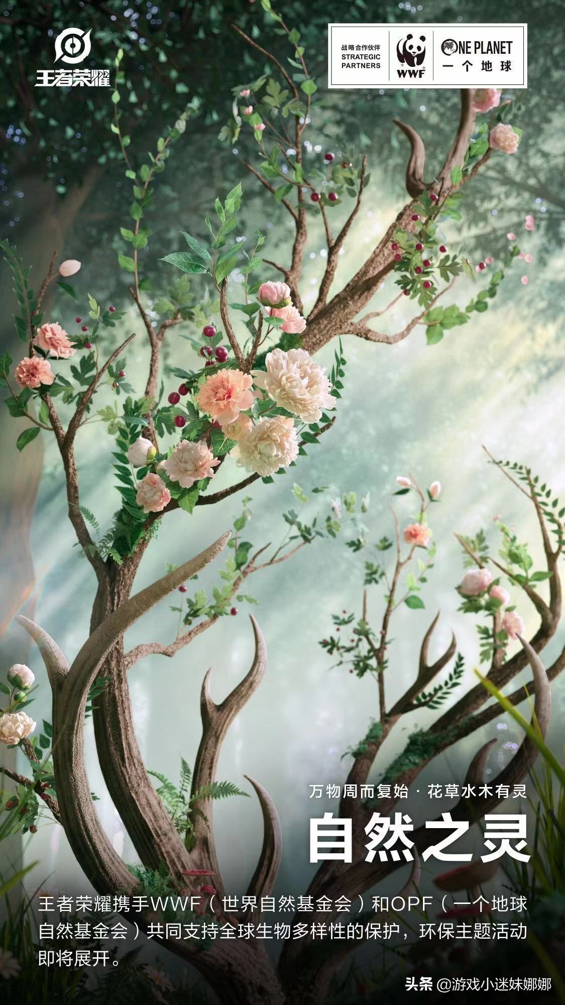 person honor: 7 new language start cosignatory skin, precious jade natural clever skin be about to open defends a plan