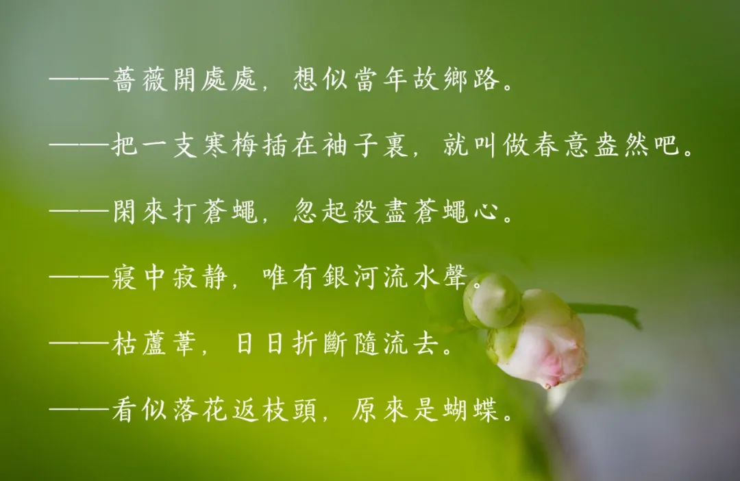 “牵牛花，一朵深渊色。”——有一种短诗，叫俳句