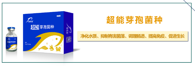 水产养殖就得常改底 怎样正确改底有讲究