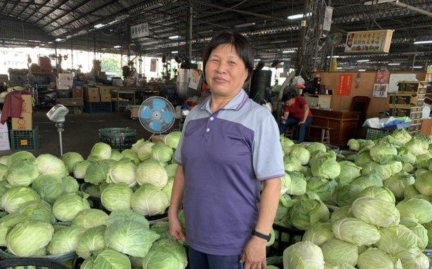 台灣高麗菜產量過剩價格跌到谷底，台網友諷：全民齊吃挺台灣？