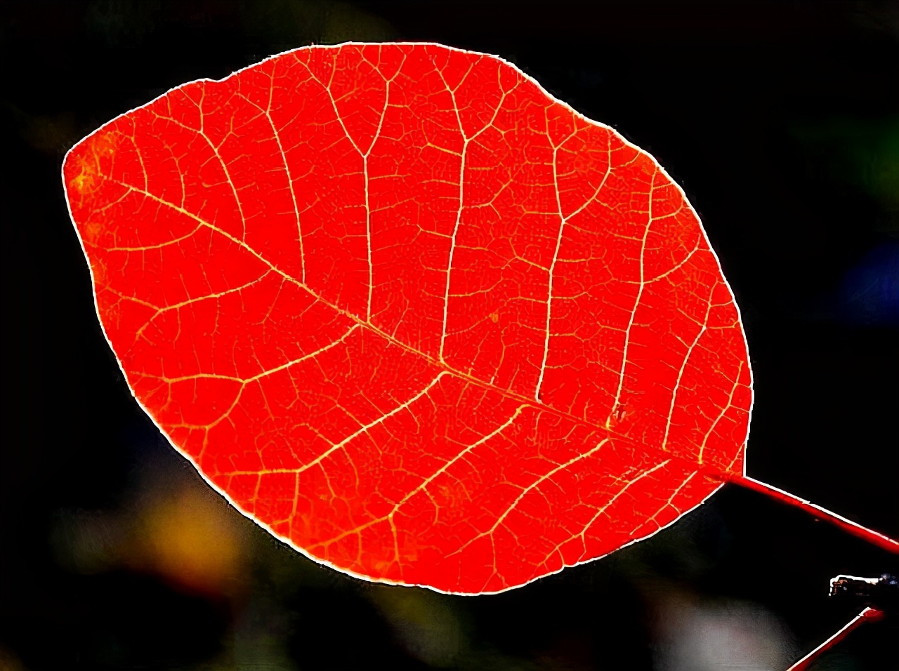 一個人最大的失敗，不是窮，而是吃不了這三種苦