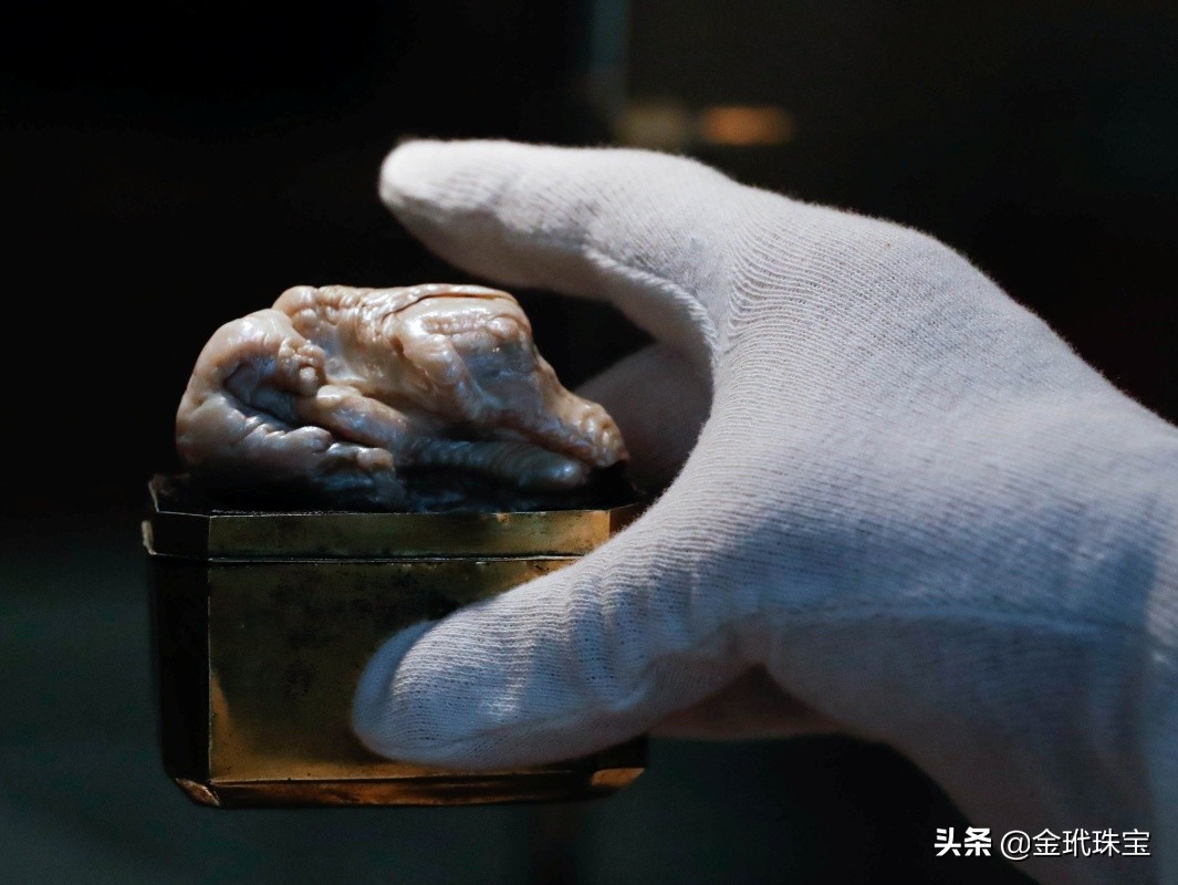 世界上最大的淡水珍珠来自中国，清朝时期被荷兰商人偷渡出境