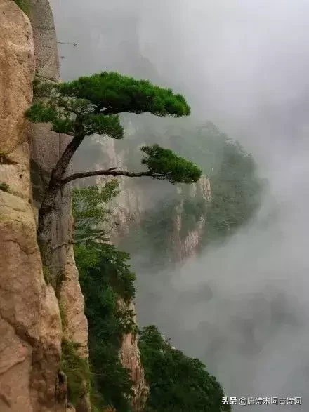 励志诗词:艰难困苦有时尽,人生没有过不去的坎-第4张图片-非凡网 励志诗词:艰难困苦有时尽,人生没有过不去的坎-第4张图片-非凡网