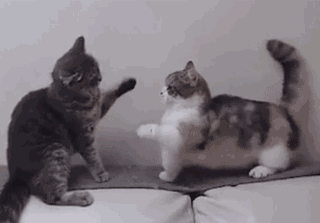 止痛藥是一粒解千愁還是洪水猛獸？