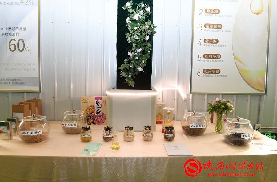 第四屆洽川旅游文化季牡丹嘉年華精彩紛呈 美食美景等你來解鎖（組圖）