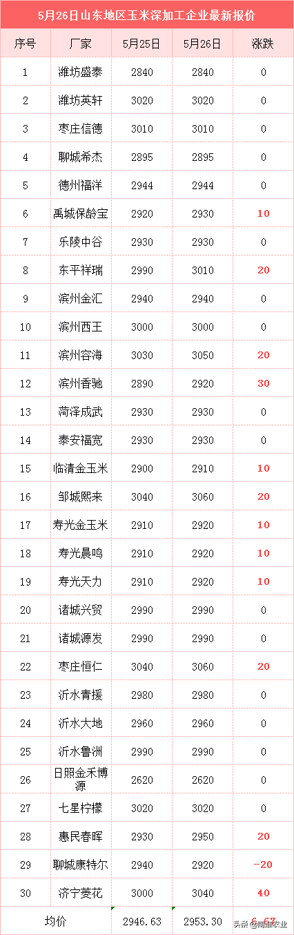 玉米全面飘红，市场要爆发了？6月3大利好来袭，行情或破1.6元